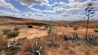 Rustic Finca in Taberno photo 13