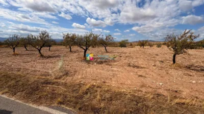 Rustic Finca in Taberno photo 14
