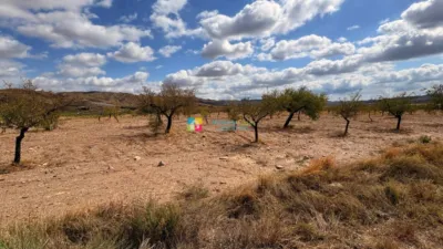 Rustic Finca in Taberno photo 15