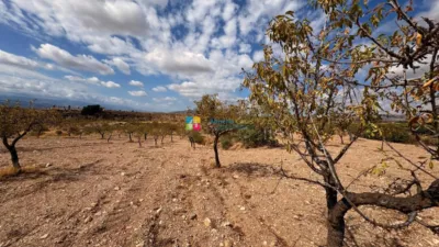 Rustic Finca in Taberno photo 16