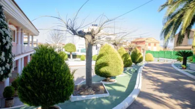 Villa in Caudete photo 7