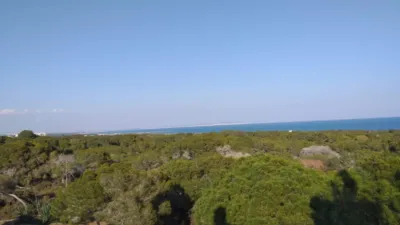 Pis – Guardamar del Segura - Vista 4