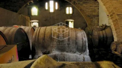 Rustic Finca in Sitges photo 18