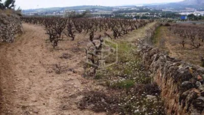 Rustic Finca in Sitges photo 20