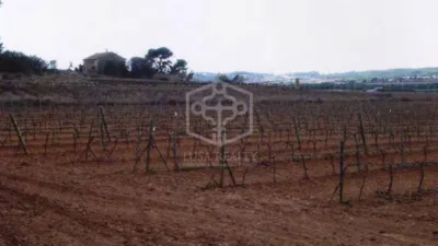 Rustic Finca in Sitges photo 21