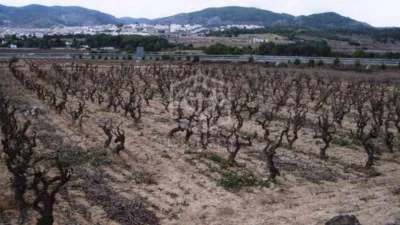 Rustic Finca in Sitges photo 22