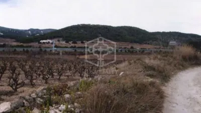 Rustic Finca in Sitges photo 23