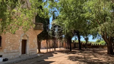 Rustic Finca in Sitges photo 3