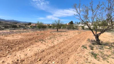 Terreno en venta en El Pinós - Pinoso - Vista 2