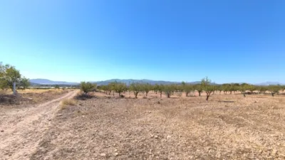 Terreno en venta en Monòver - Monóvar - Vista 2