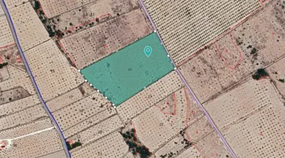 Terreno en venta en Monòver - Monóvar - Vista 4