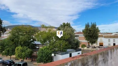 House in Lora de Estepa photo 4