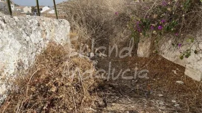 House in Luque photo 2