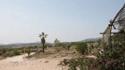 Rustic Finca in El Pinós - Pinoso photo 11