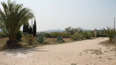 Rustic Finca in El Pinós - Pinoso photo 12