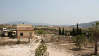 Rustic Finca in El Pinós - Pinoso photo 25
