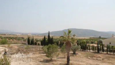 Rustic Finca in El Pinós - Pinoso photo 26