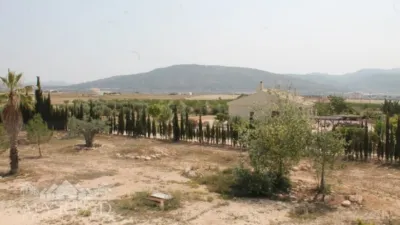 Rustic Finca in El Pinós - Pinoso photo 8