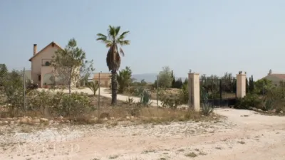 Rustic Finca in El Pinós - Pinoso photo 9