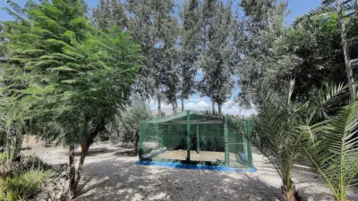 Rustic Finca in Crevillent photo 11