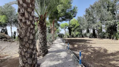 Rustic Finca in Crevillent photo 14