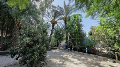 Rustic Finca in Crevillent photo 20