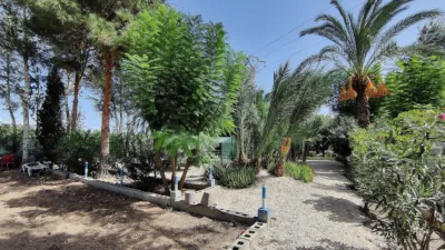 Rustic Finca in Crevillent photo 30