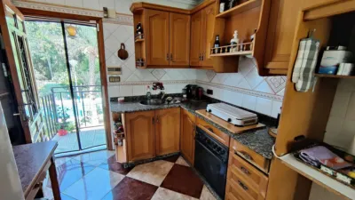 Rustic Finca in Crevillent photo 33