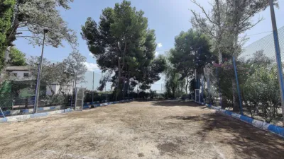 Rustic Finca in Crevillent photo 49