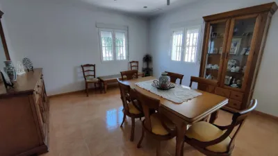 Chalet in Crevillent photo 20