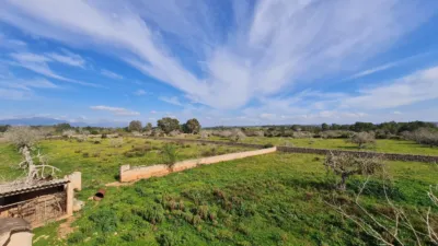 Rustic Finca in Algaida photo 2