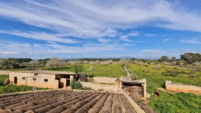 Rustic Finca in Algaida photo 3