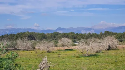 Rustic Finca in Algaida photo 4