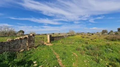 Rustic Finca in Algaida photo 5