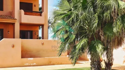 Apartment in Los Alcázares photo 42