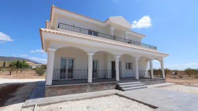 Chalet in El Pinós - Pinoso photo 19