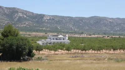 Chalet in El Pinós - Pinoso photo 9