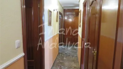 Apartment in Martos photo 10