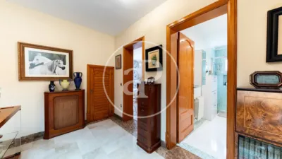 Villa in Son Ferrer photo 21