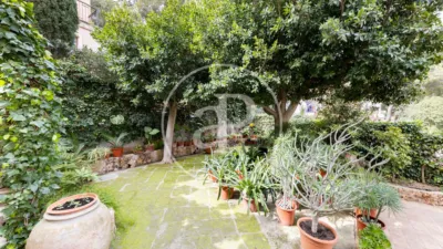 Villa in Son Ferrer photo 32