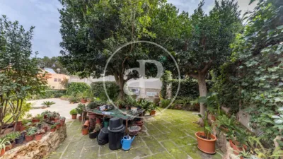 Villa in Son Ferrer photo 46