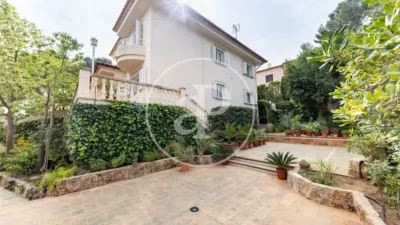 Villa in Son Ferrer photo 48