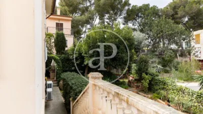 Villa in Son Ferrer photo 53