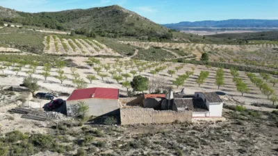 Rustic Finca in Caudete photo 20