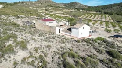 Rustic Finca in Caudete photo 24