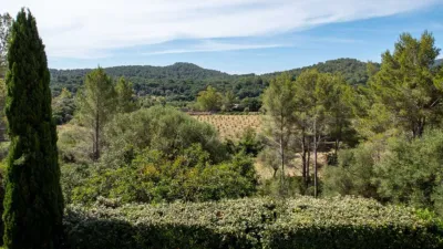 Luxury rural finca in one of Pollença’s most sought-after areas. Built in 2003, this property sits on a plot of 53,600m² with approximately 540m² of built space. The main house features a bedroom on the ground floor, a living room with a fireplace, a separate dining room, and a large kitchen with a pantry and laundry room, all overlooking the garden. Access to the garage, which can accommodate two large cars, is also on this level. photo 39