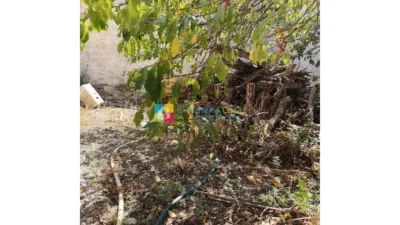 Rustic Finca in Albox photo 24