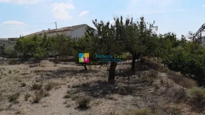 Rustic Finca in Albox photo 28