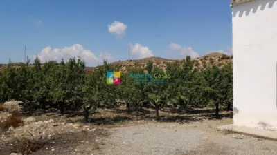 Rustic Finca in Albox photo 3