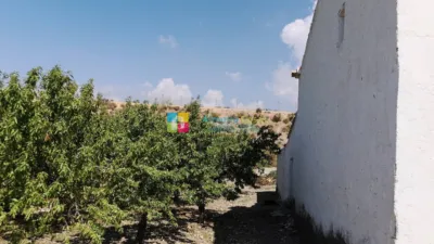 Rustic Finca in Albox photo 4